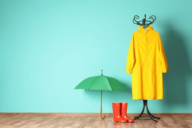 梅雨のプレスリリース
